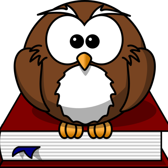 CORSO IN PREPARAZIONE AI TEST DI AMMISSIONE ALL'UNIVERSITA'